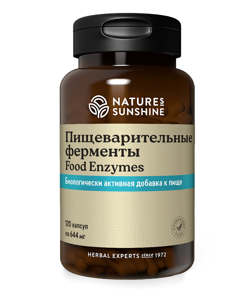 Пищеварительные ферменты 